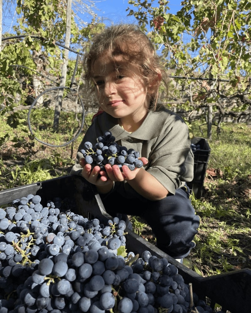 gallery-tenuta-longobardi-new-5